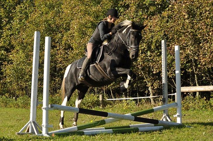 Pinto Melanie - sleep tight :') - Tredje gang vi springer - første gang på springbanen ;D billede 13