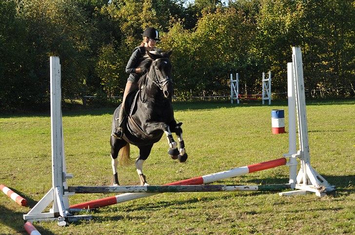 Pinto Melanie - sleep tight :') - Tredje gang vi springer - første gang på springbanen ;D billede 14