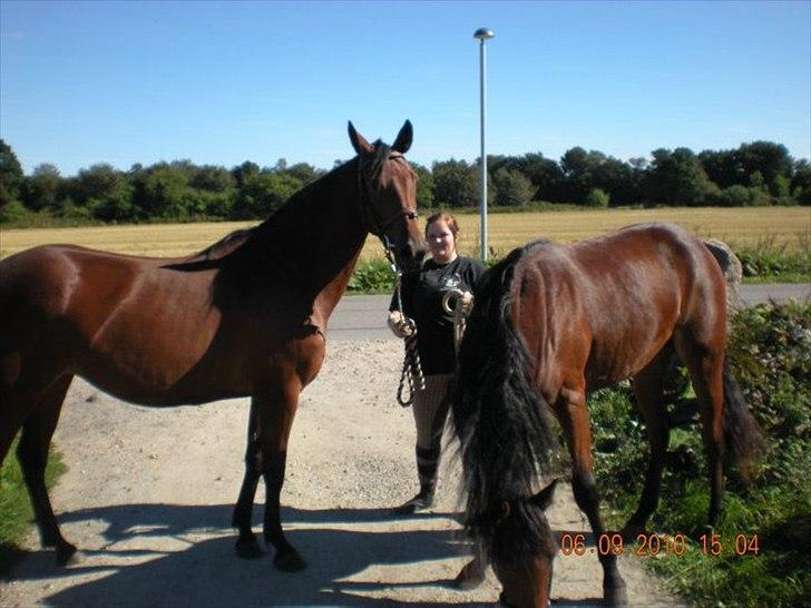 Anden særlig race annabell billede 14