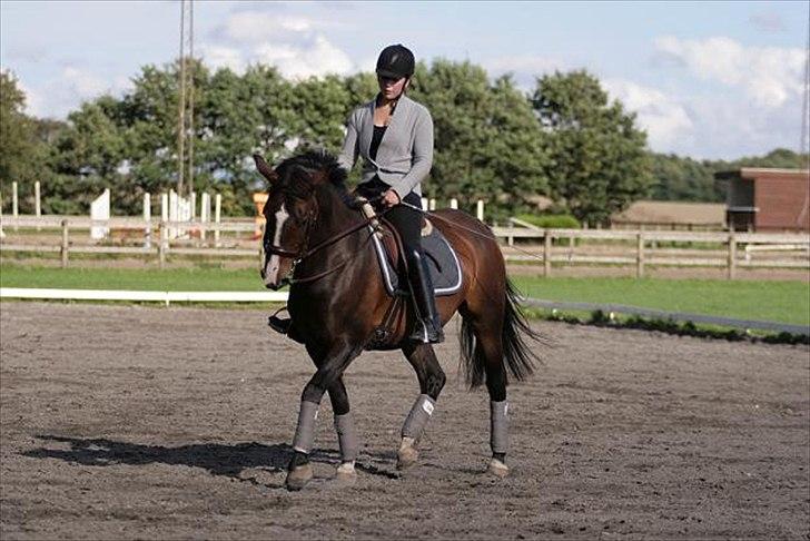 Anden særlig race Chantelle - Mig og Telle 2010, Foto: Malene Markmann billede 8