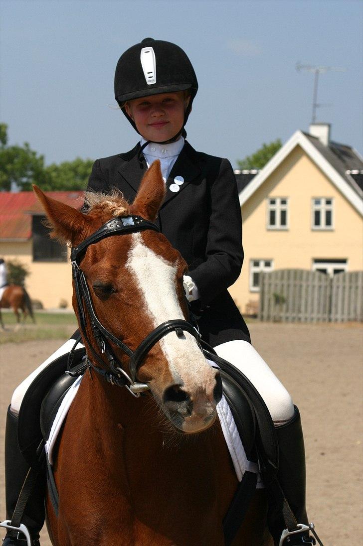 Anden særlig race |Pippi*Aflivet*| - velkommen til pippi´s profil!<´3-læg gerne en komenatar så bliver vi glade(: <3|foto:Lars P.K.(FAR)| billede 1