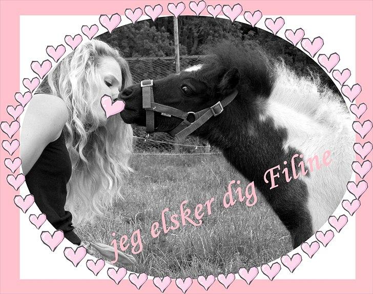 Anden særlig race (¯`v´¯)Filine(¯`v´¯) - har lært hende at kysse, så nu vil hun hele tiden kysse! :D  billede 17