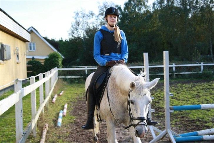 Anden særlig race Leonardo - 14. Efter springning<3 billede 14