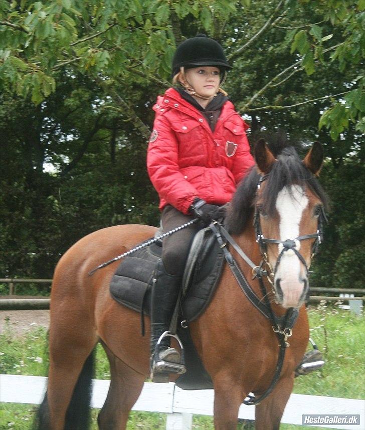 New Forest sille - Nyt billede, taget af super fotografen Chrisina :D billede 12