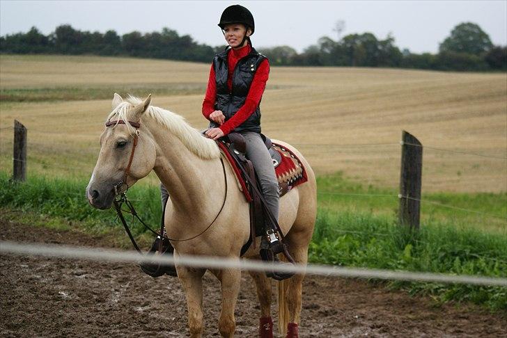 Quarter : RF Frank Olena | ~ Min Klumpe Dumpe ~ - Pallas og mig sep 2010 til for sjov stævne ved min nabo (6 gang jeg rider ham) billede 6