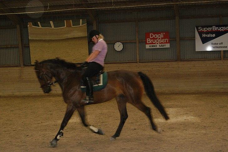 Anden særlig race Merlot R.I.P <3 - undervisen hos Nanna M..... billedet 9 billede 9