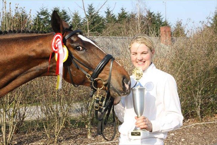 Knabstrupper Nørgårds Xaxo billede 12