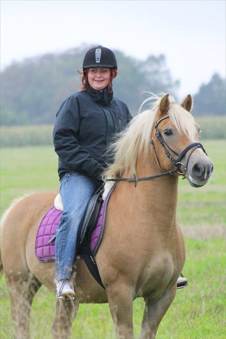 Haflinger Wander Van de Beekenpiepe billede 9