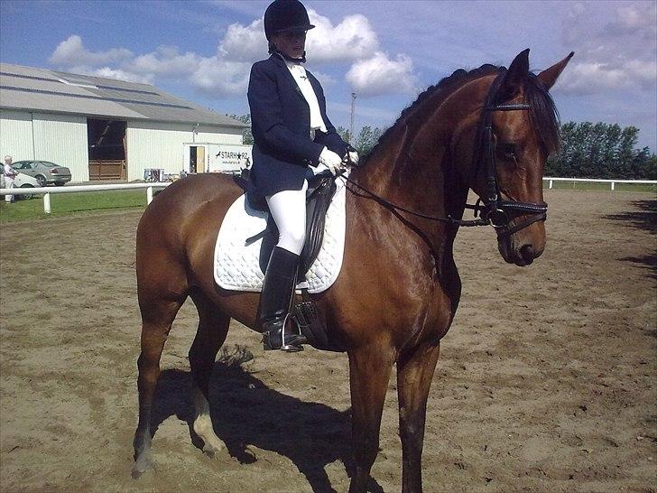 Westfaler MR jones - *nyt* billede 13