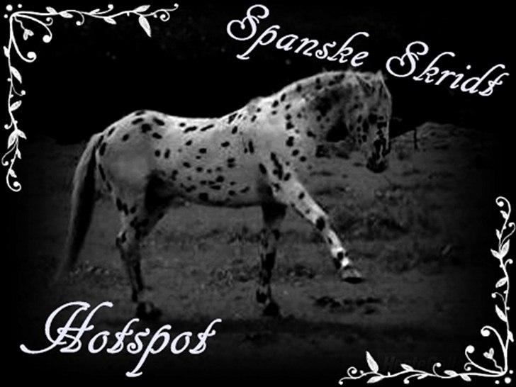 Appaloosa Hot Spot ~ Min Soulmate - uhh hadada, spanske skridt!!

Foto: Eget billede
Redigeret af Nazli s. Vaziri billede 18