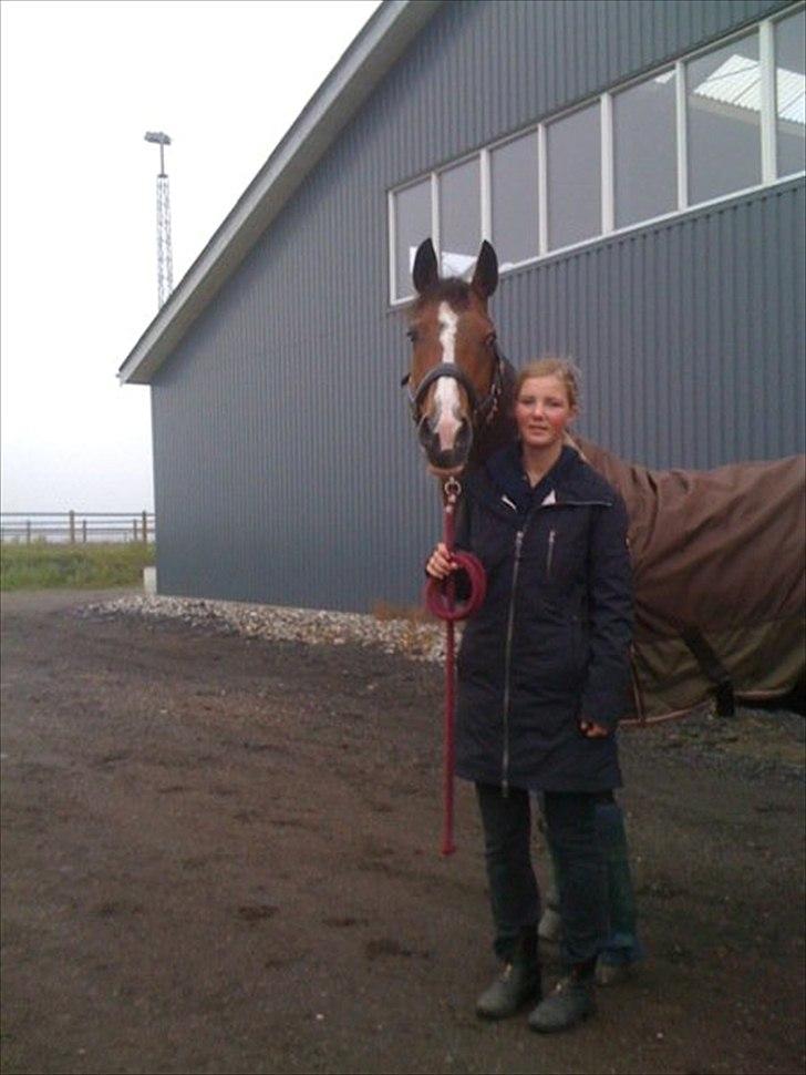 Anden særlig race Girl's Knight - I hedensted til landsstævne billede 5