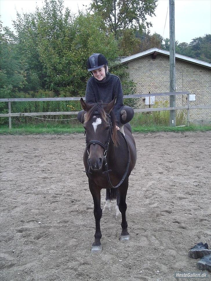 Anden særlig race Beauty  - FRØEN! - bestående af; frø hjernen (Beauty´s lille dumme hjerne :)) og frø kroppen (min kiksede krop :D) billede 14