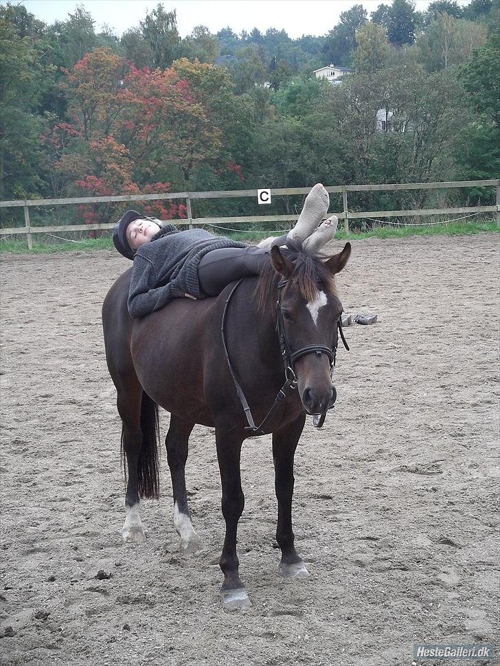 Anden særlig race Beauty  - org, mus - vi er bare HERRE lækkre! :o <3 billede 15