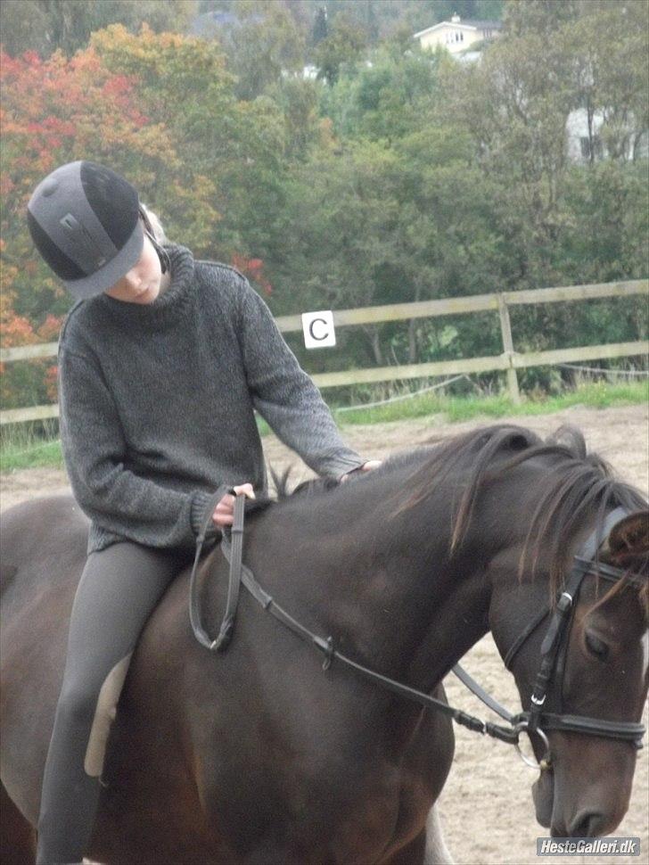 Anden særlig race Beauty  - Du er bare MIN stjerne - min lysende stjerne! :´) billede 16