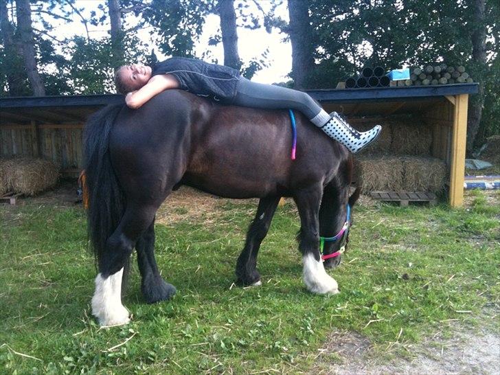 Tinker Lille Per ( gamlePart) - "HEY´ HEY, hva er det der ligger på min ryg??! - ligemeget.. græs er 100 gange vigtigere billede 3