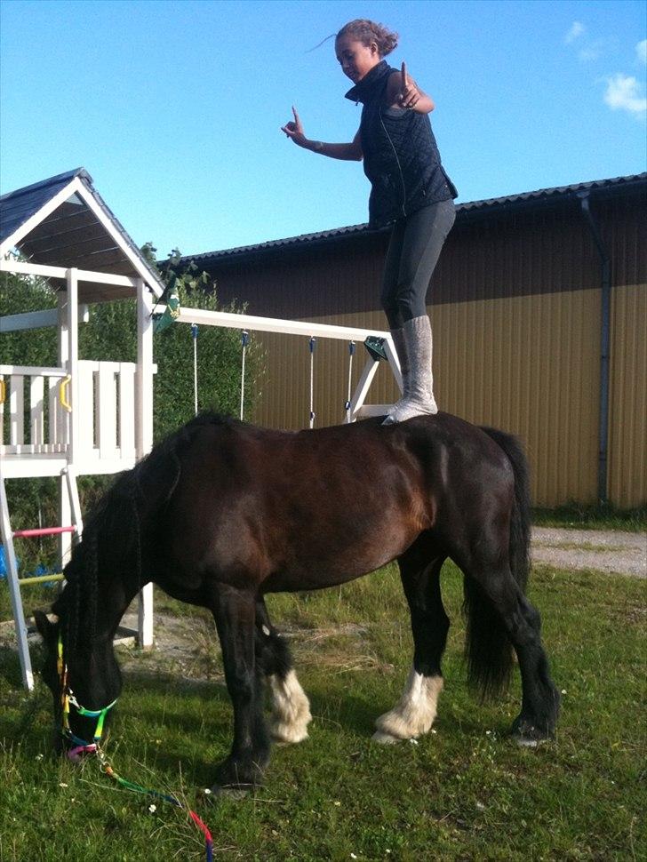 Tinker Lille Per ( gamlePart) - Det er skøønt at hygge ;) billede 4