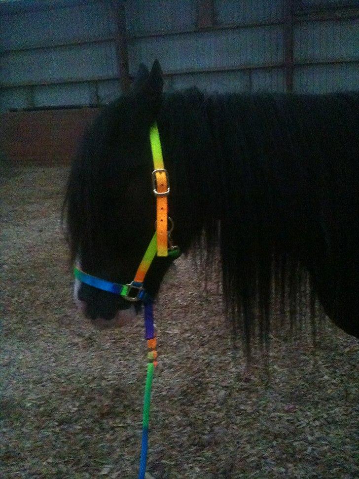 Tinker Lille Per ( gamlePart) - Shhh, hun tror jeg sover Zzzzzz billede 5