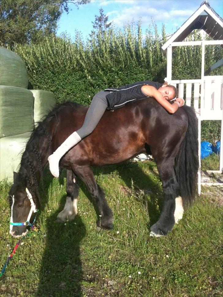 Tinker Lille Per ( gamlePart) - Godnight .. or should i say Good day :D billede 6