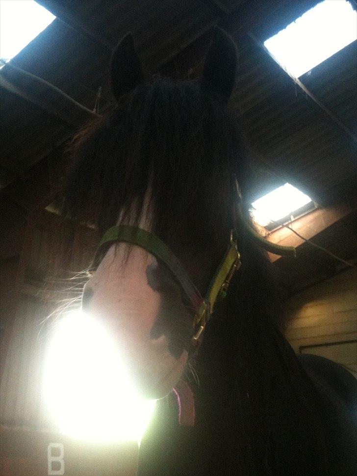 Tinker Lille Per ( gamlePart) - Wazzz up :D billede 8