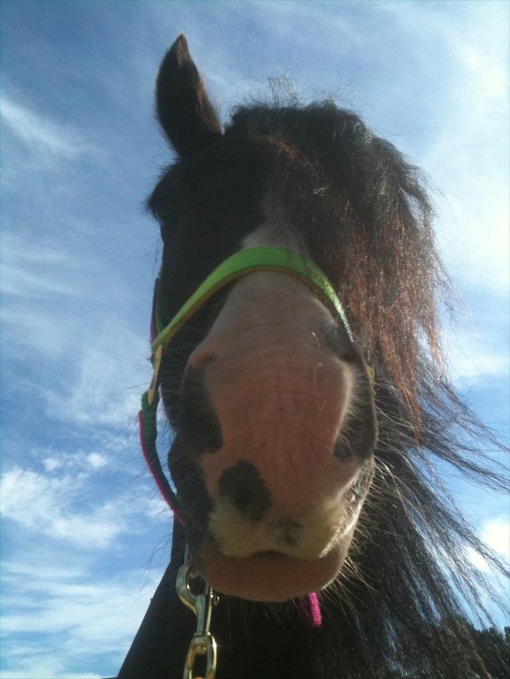 Tinker Lille Per ( gamlePart) - Lovely picture <3 billede 9