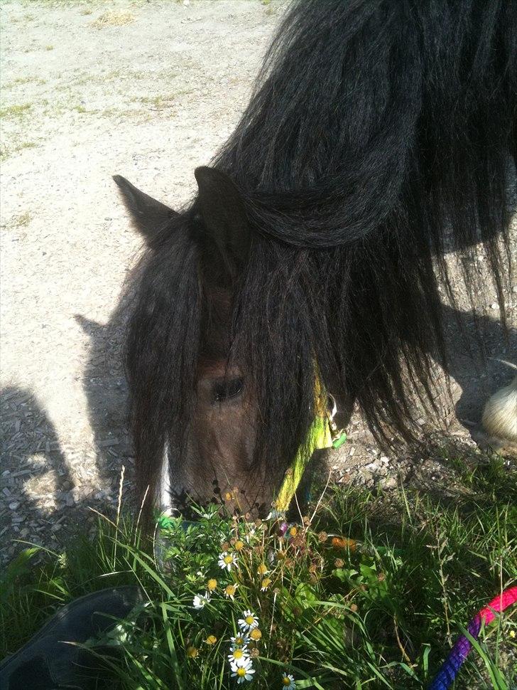 Tinker Lille Per ( gamlePart) - Græs, er der intet der slår ! ;) billede 10