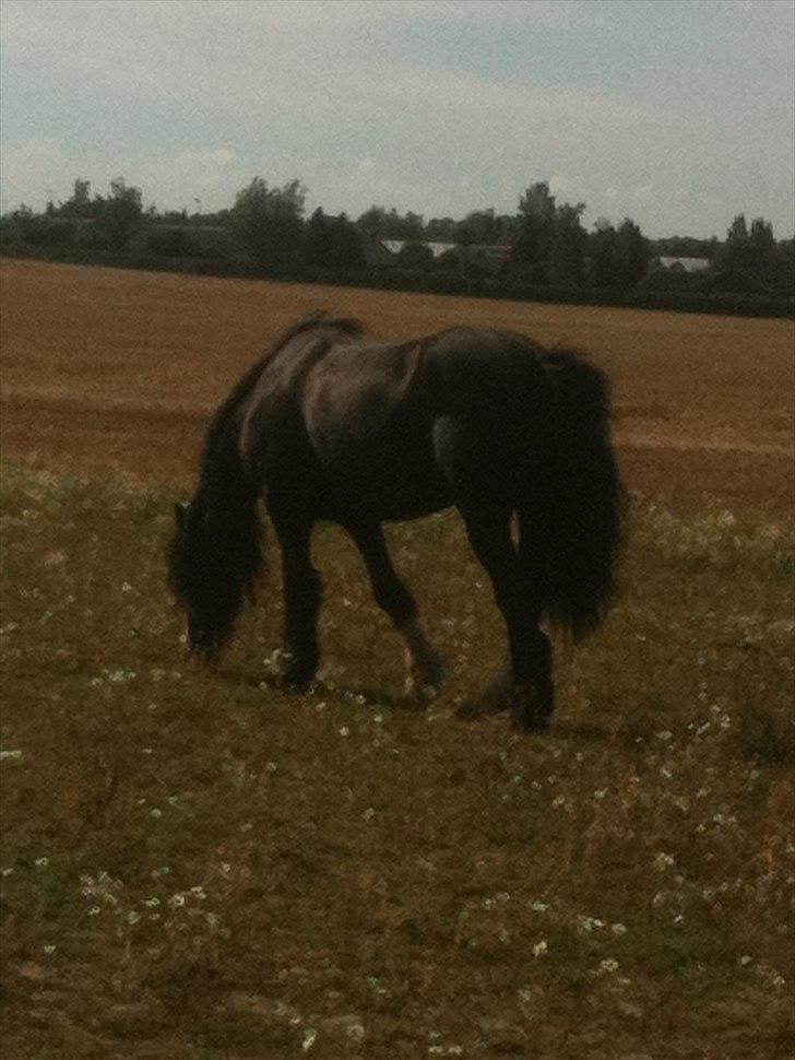 Tinker Lille Per ( gamlePart) - Græs, er der intet der slår ! ;) billede 12