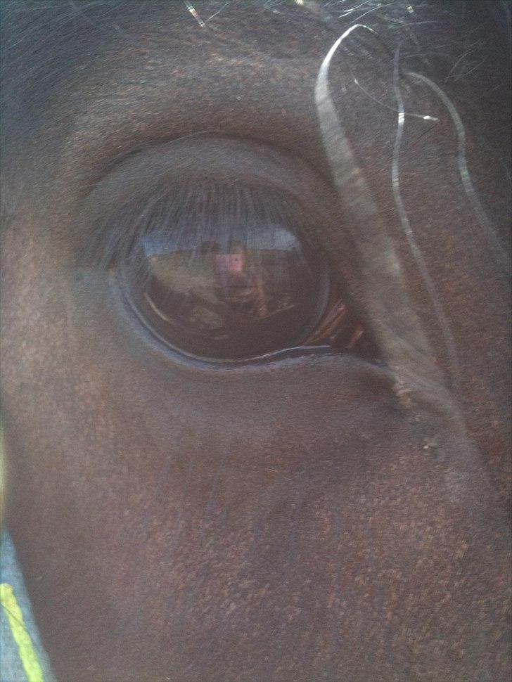 Tinker Lille Per ( gamlePart) - hmm.. kan kun komme i tanke, om at skrive. SMUKT ! billede 13