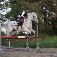 Anden særlig race Jamie Fox  R.I.P