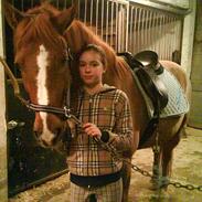 Anden særlig race Simba Stenfeldt red<3