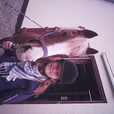 Anden særlig race |Pippi*Aflivet*|