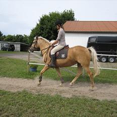 Anden særlig race Rain