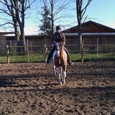 Anden særlig race Marry Poppins