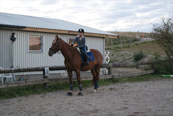 Oldenborg møllevangs menja billede 7