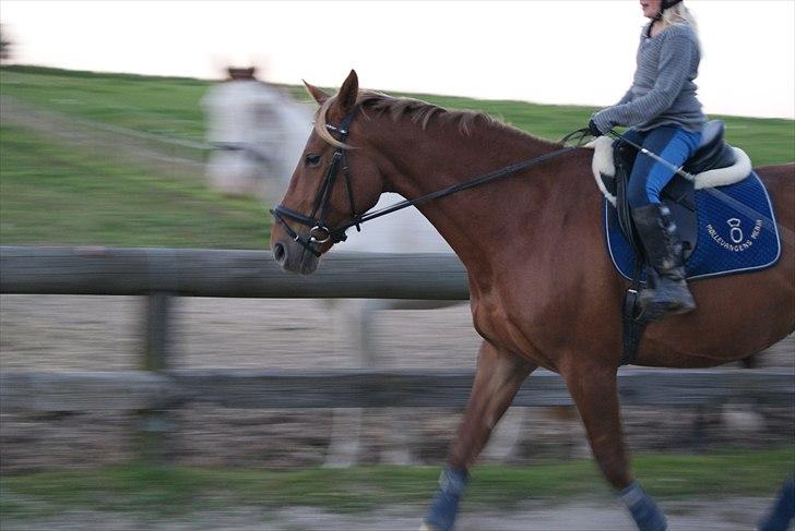 Oldenborg møllevangs menja billede 8