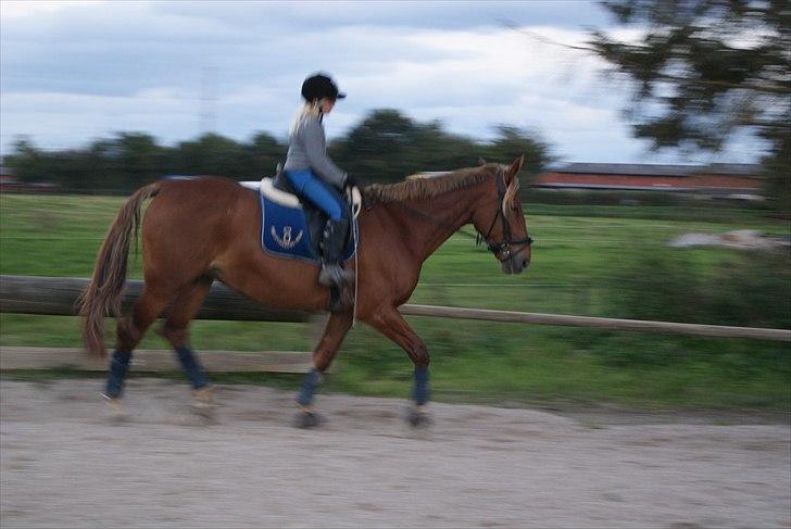 Oldenborg møllevangs menja billede 9