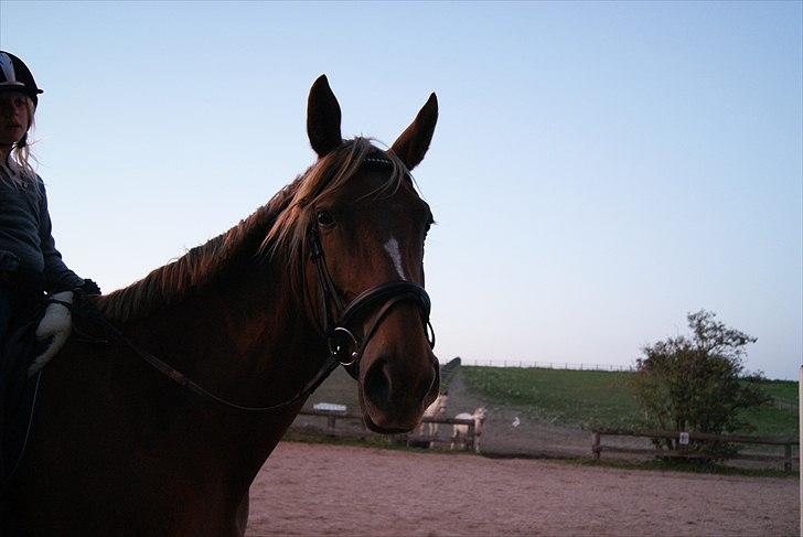 Oldenborg møllevangs menja billede 10