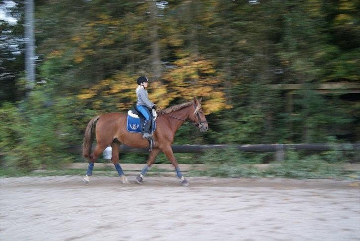 Oldenborg møllevangs menja billede 11