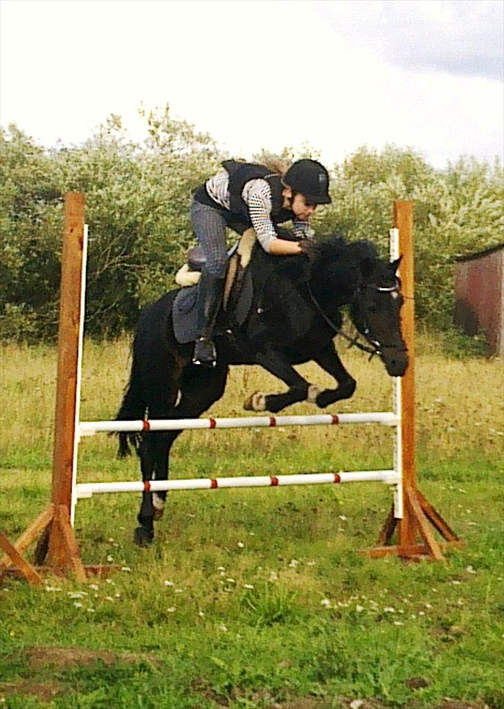 Anden særlig race Rose *REGIONSMESTER 2010* - Lidt springtræning derhjemme :D billede 12