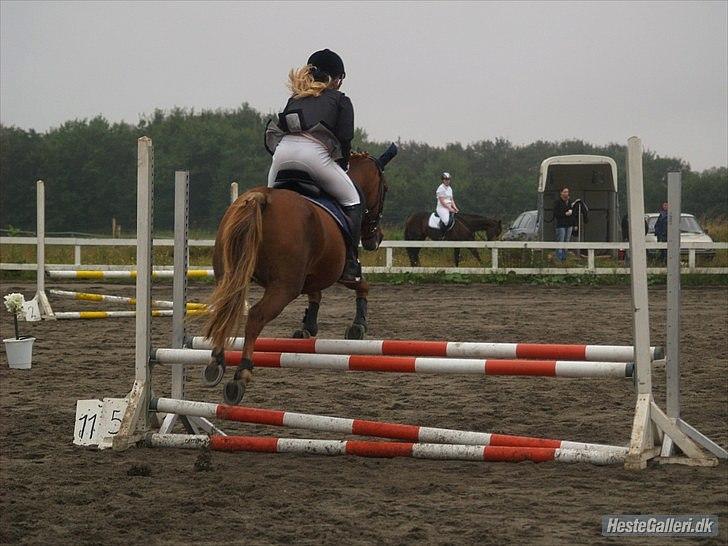 Anden særlig race Scottie - Potte´pigen og Caroline til deres første klubstævne! (Lc-Lb) SKRI 11/9 -2010 Foto: Mathilde billede 17