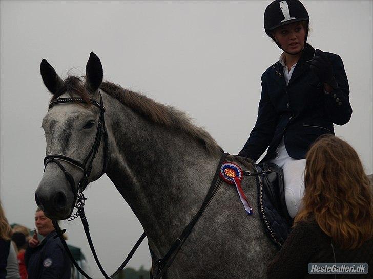 Dansk Varmblod Kærsholms Willow *solgt* - Her fortæller jeg min mor, hvor stolt jeg er over min lille guldklump! Stævne på SKRI 11/9 - 2010 Foto: Mathilde billede 19