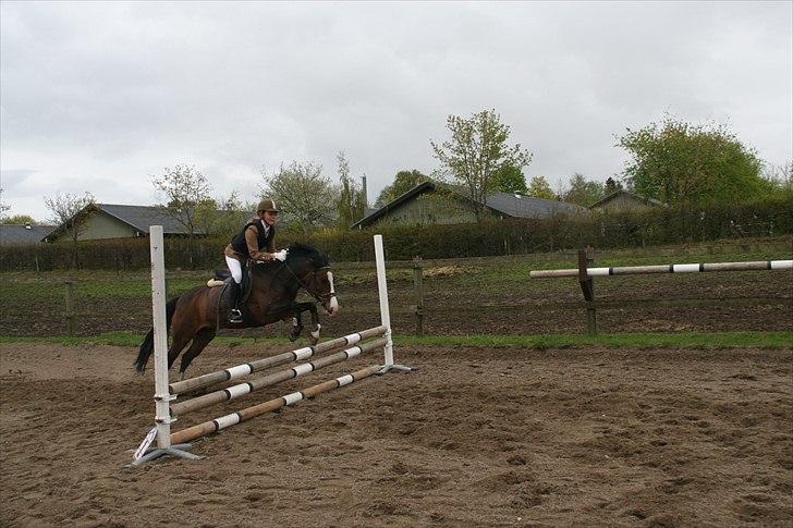 Anden særlig race - Angelina <3 - 12* søde anglina<3 (: fotograf: min søster (: billede 12