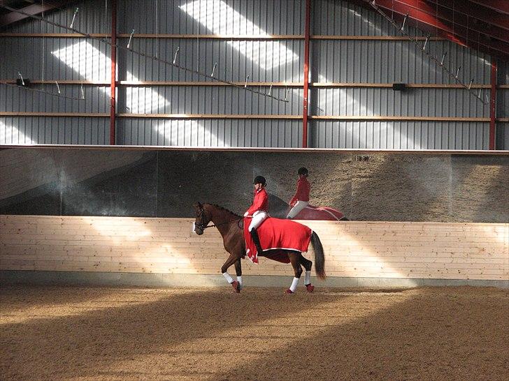 Dansk Varmblod Treldegårds Santorini - Vores første stævne billede 5