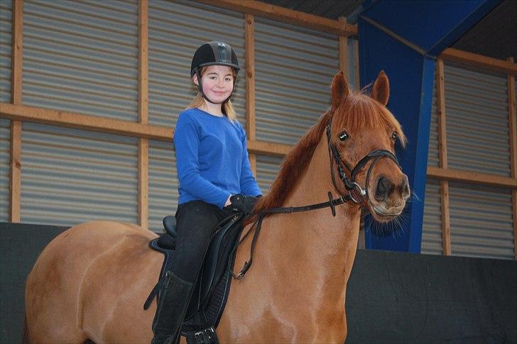 New Forest Debbie(Død) billede 9