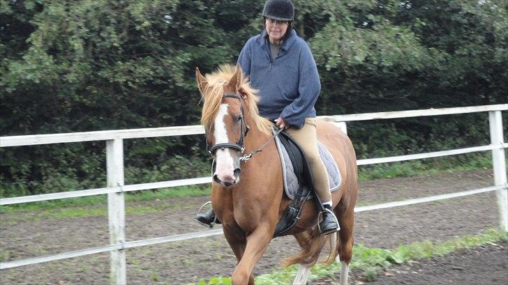 DSP Tai Tipi tilbage leveret billede 4