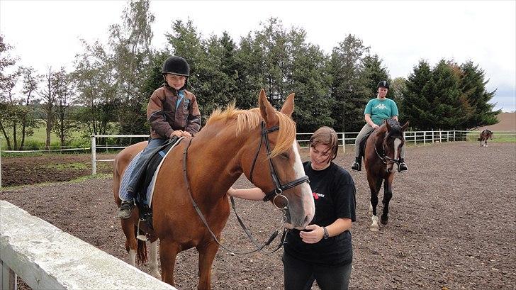 DSP Tai Tipi tilbage leveret billede 8