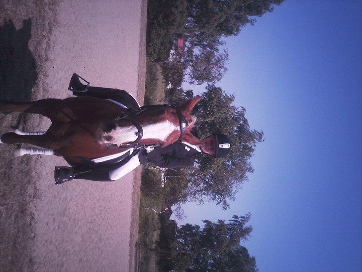 Anden særlig race |Pippi*Aflivet*| - udenfor banen venter på det er mijn tur<´ 3333|foto:Lars P.K.(FAR)| billede 3