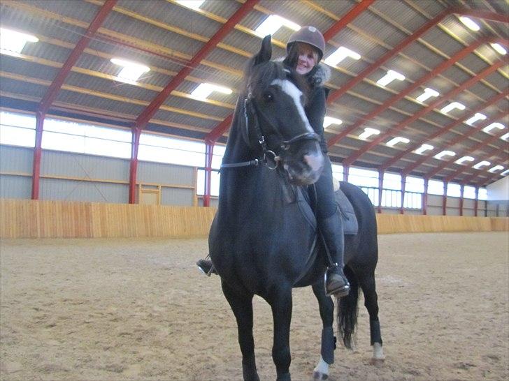 Anden særlig race Blackie - smukke, i hallen på nissumgaard (o: billede 17