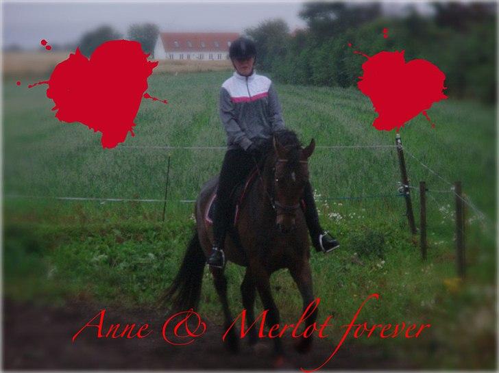 Anden særlig race Merlot R.I.P <3 - elsker dig min baby boy <3 billedet 13 billede 12