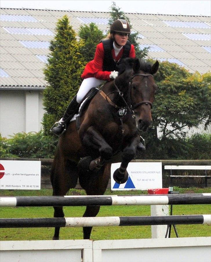 Hannoveraner Carlos/Check In - Spring Championat 2010 billede 8