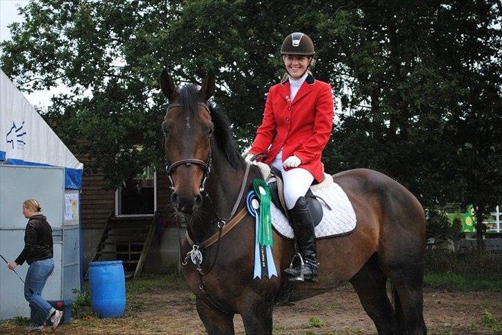 Hannoveraner Carlos/Check In - Springchampionat 2010 billede 10